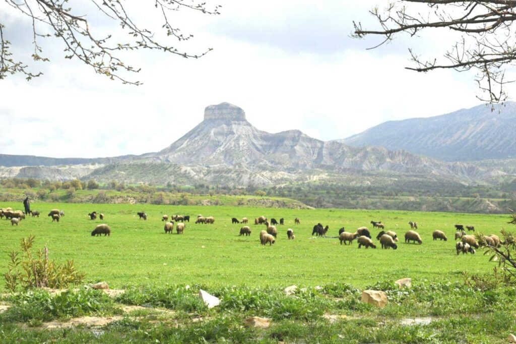 راهنمای سفر به ایلام؛ سومین شهر بزرگ کردنشین ایران