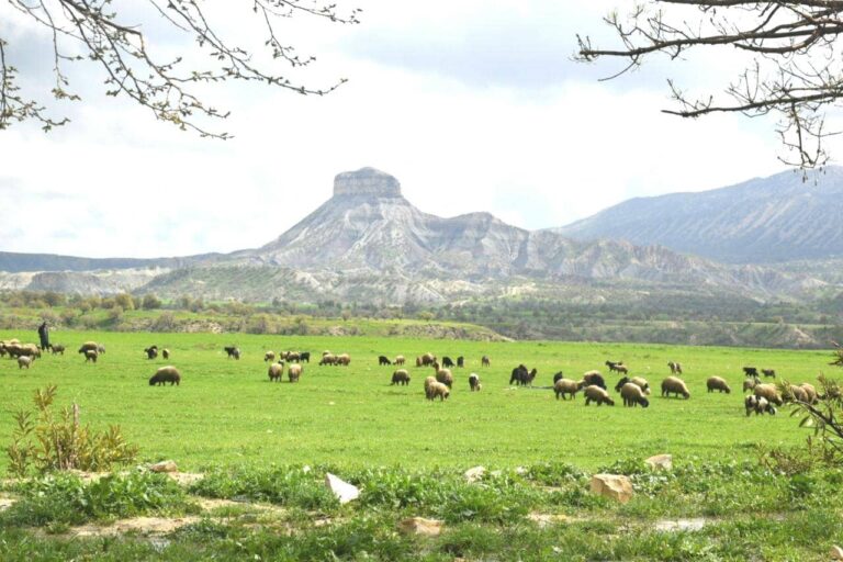 راهنمای سفر به ایلام؛ سومین شهر بزرگ کردنشین ایران
