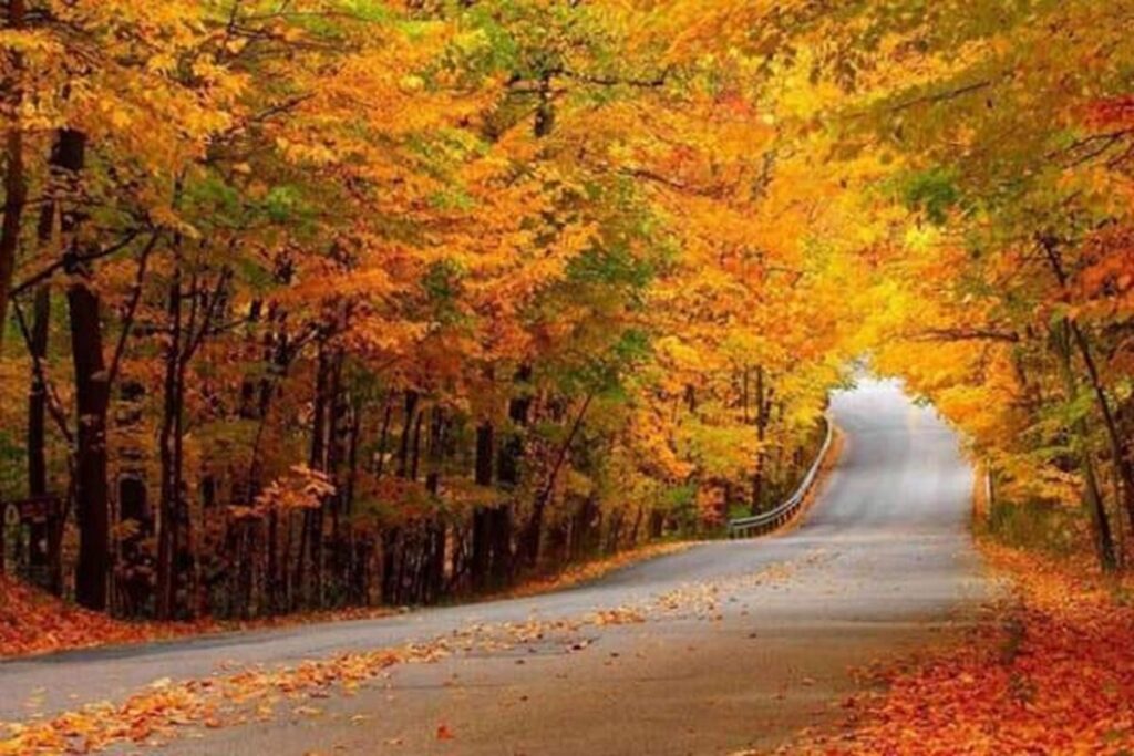 سفر به رامسر در پاییز:راهنمای کامل جاذبه‌ها، آب‌وهوا و امکانات