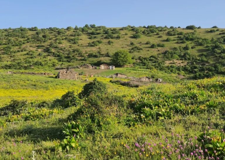 چوکاسان رامسر-جواهرده-مازندران-ایران