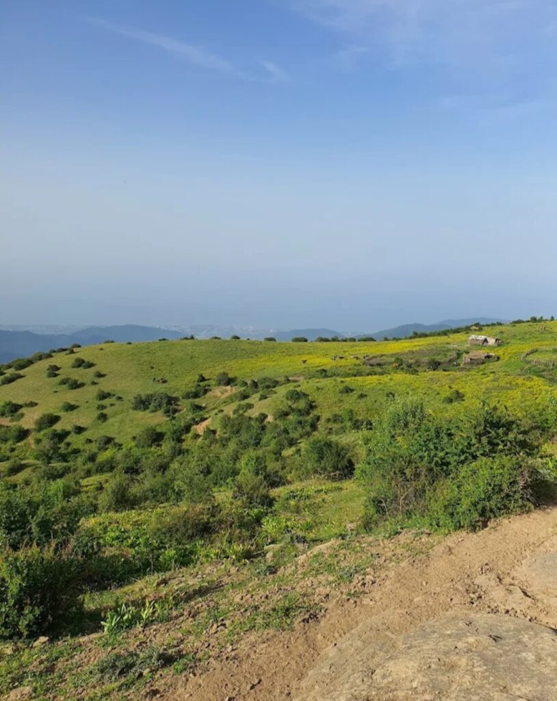 نمایی از طبیعت زیبای چوکاسان رامسر