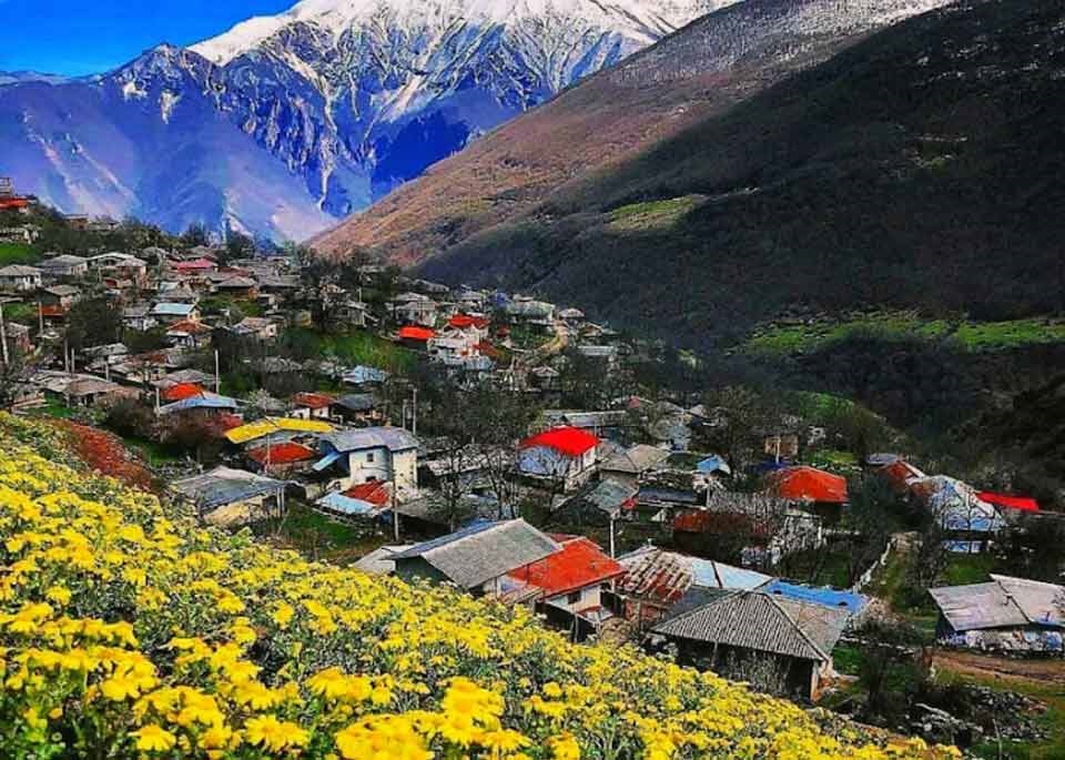 چالوس چی داره