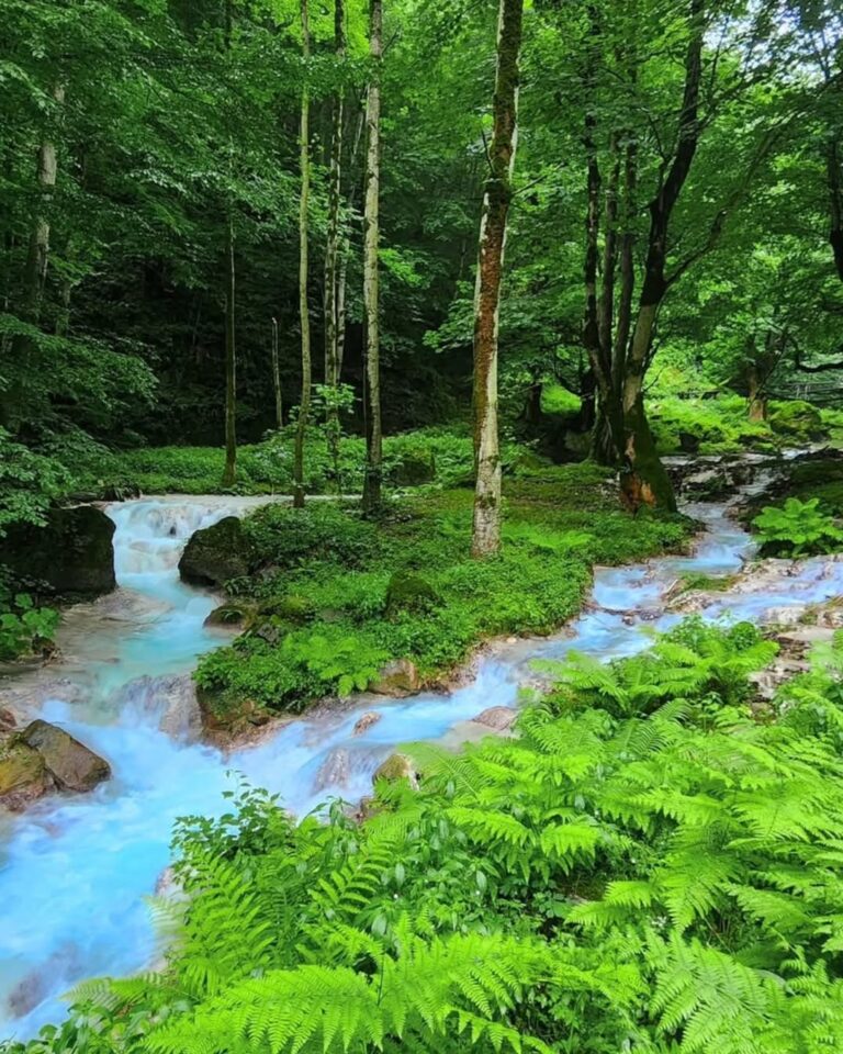 رودخانه فیروزه ای مازندران