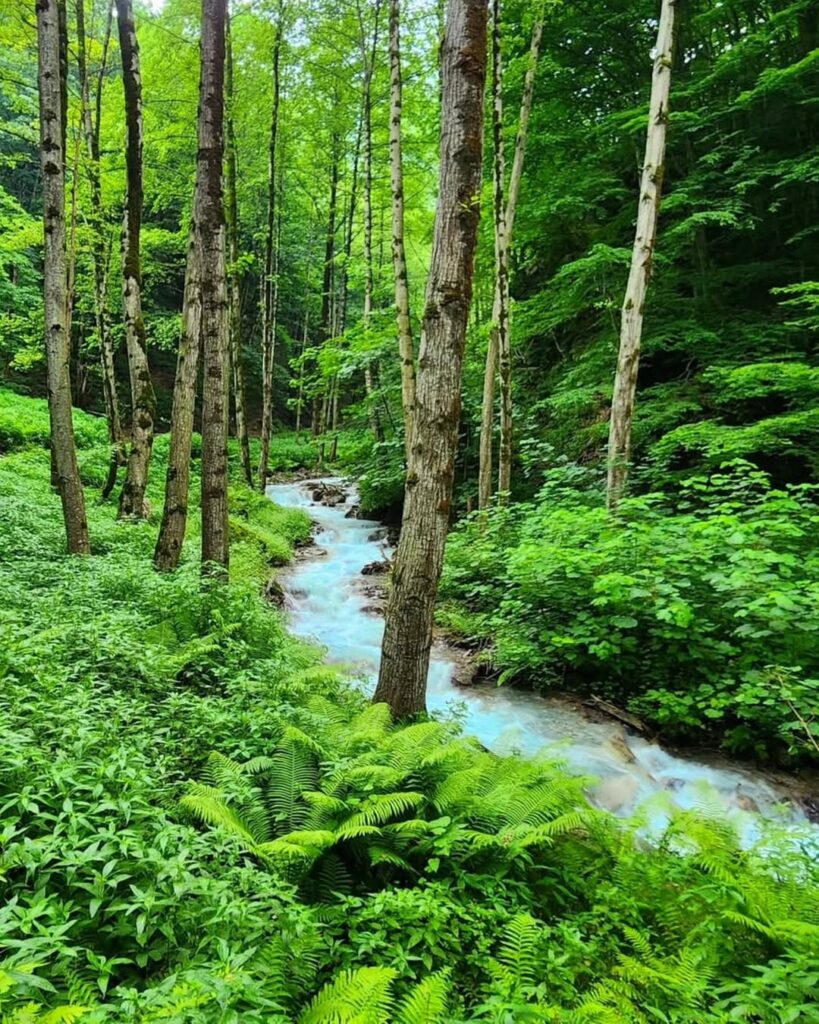 رودخانه فیروزه‌ای کلاردشت کجاست؟