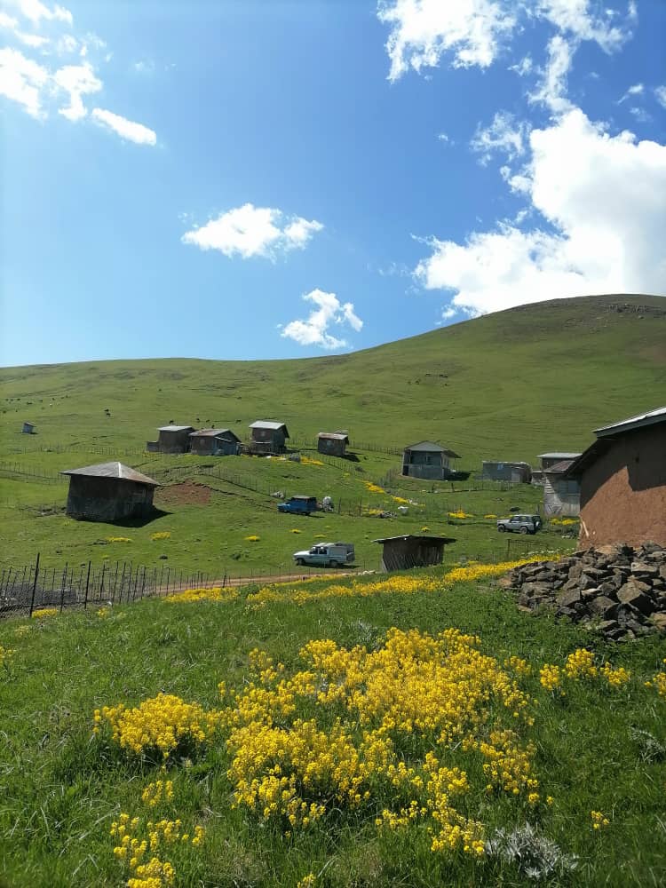طبیعت زیبای لیمرا تنکابن
