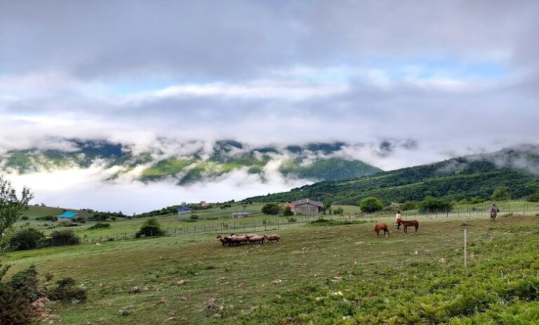 امباردار رامسر؛ روستایی بکر و فراموش‌شده برای عاشقان طبیعت‌گردی