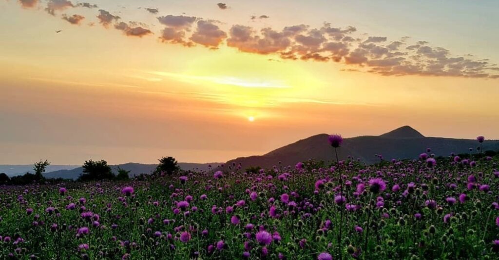طبیعت زیبای سلندشت رامسر