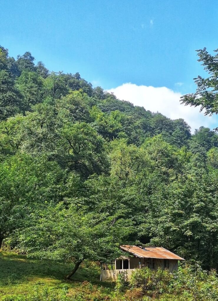 مسیر جنگلی دسترسی به آبشار شالکوهه سه هزار تنکابن