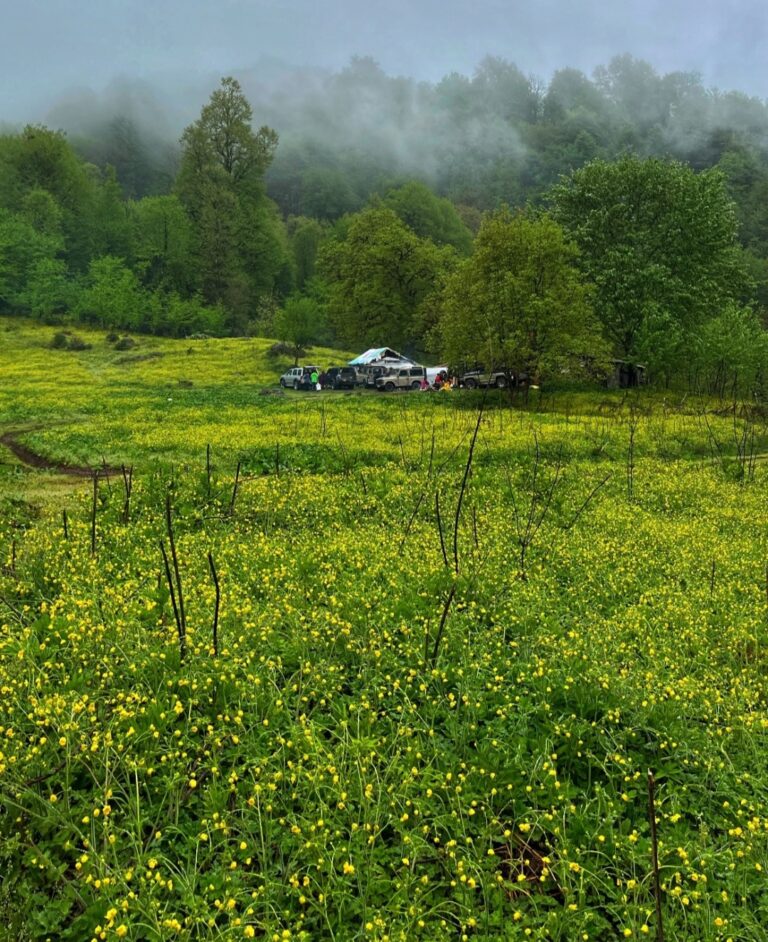 ییلاق نوتو شهسوار