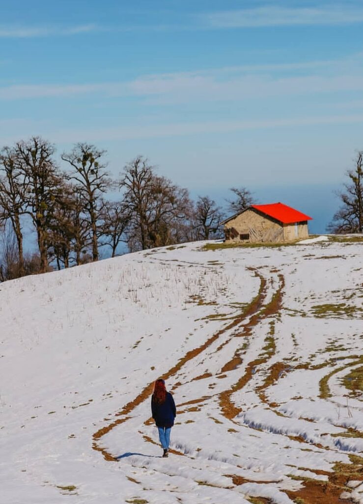 دشت زیبای امباردار رامسر