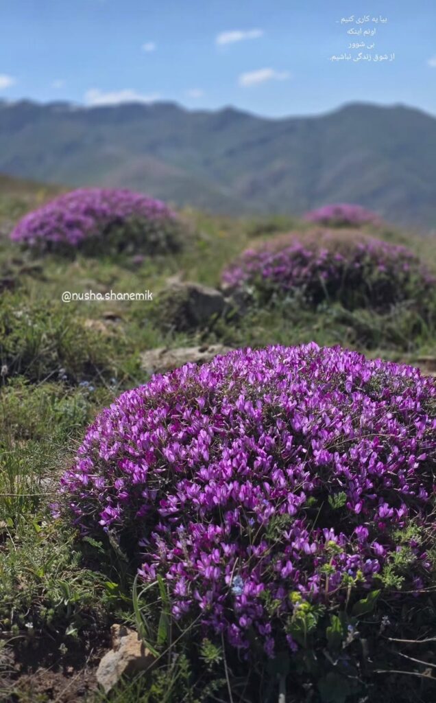 سفر به ییلاق نوشا