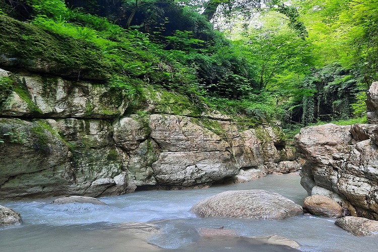 تنگه دار نوشهر