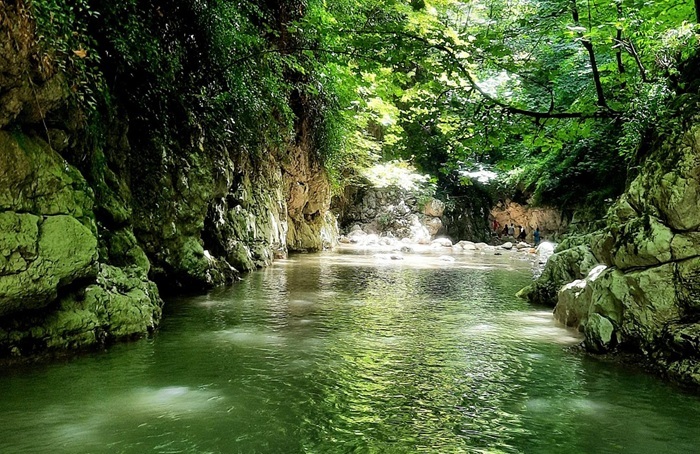 تنگه دار نوشهر