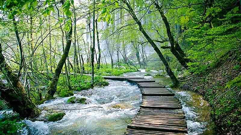 جاهای دیدنی شمال برای مسافرت شهریور