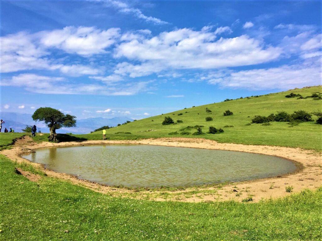 جنگل تیلاکنار