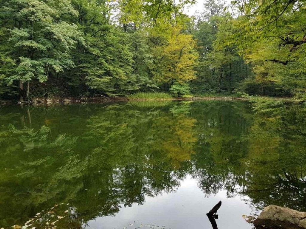 دریاچه فراخین نوشهر