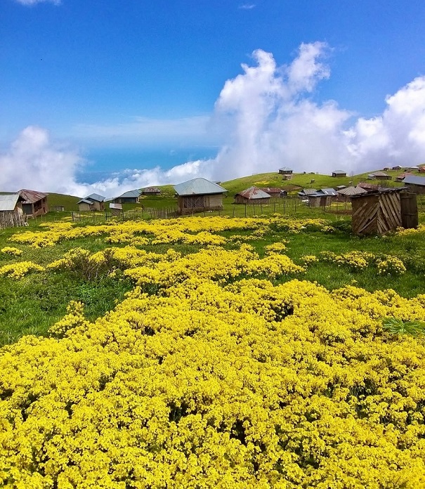 لیمرا تنکابن کجاست؟ راهنمای سفر به بهشت پنهان مازندران
