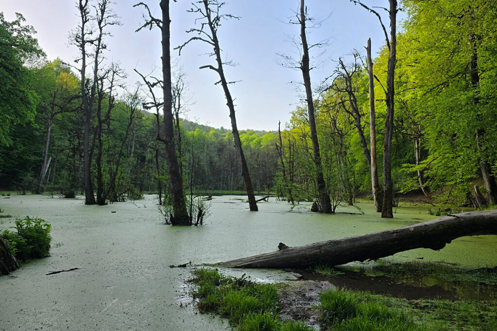 سفر به شمال ایران در شهریور و پاییز : کلاردشت