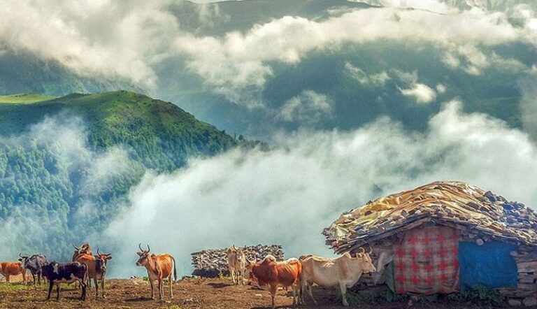 روستای زیبای مازیچال کلاردشت