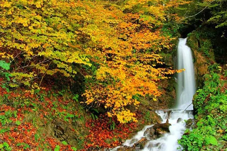 زیباترین جنگل های پاییزی مازندران-دو دانگه ساری در پاییز