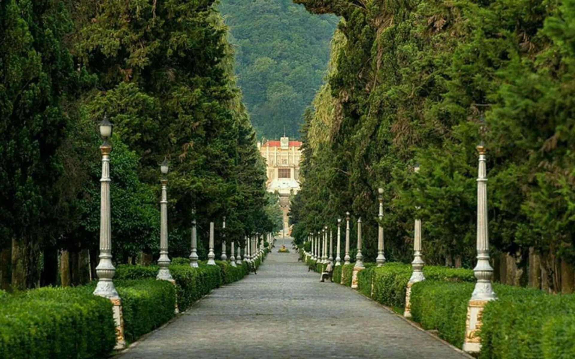 بلوار کازینو رامسر؛ رویاییترین مسیر پیادهروی و دوچرخهسواری در شمال ایران()