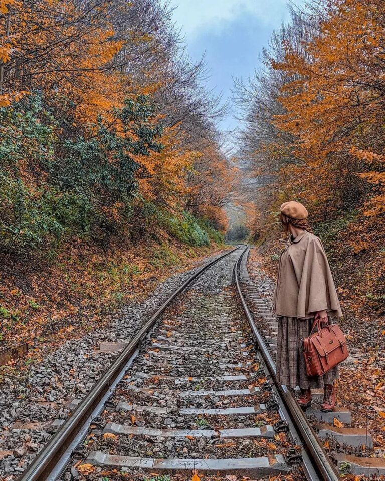 شیرگاه در پاییز-جاده ریلی شیرگاه