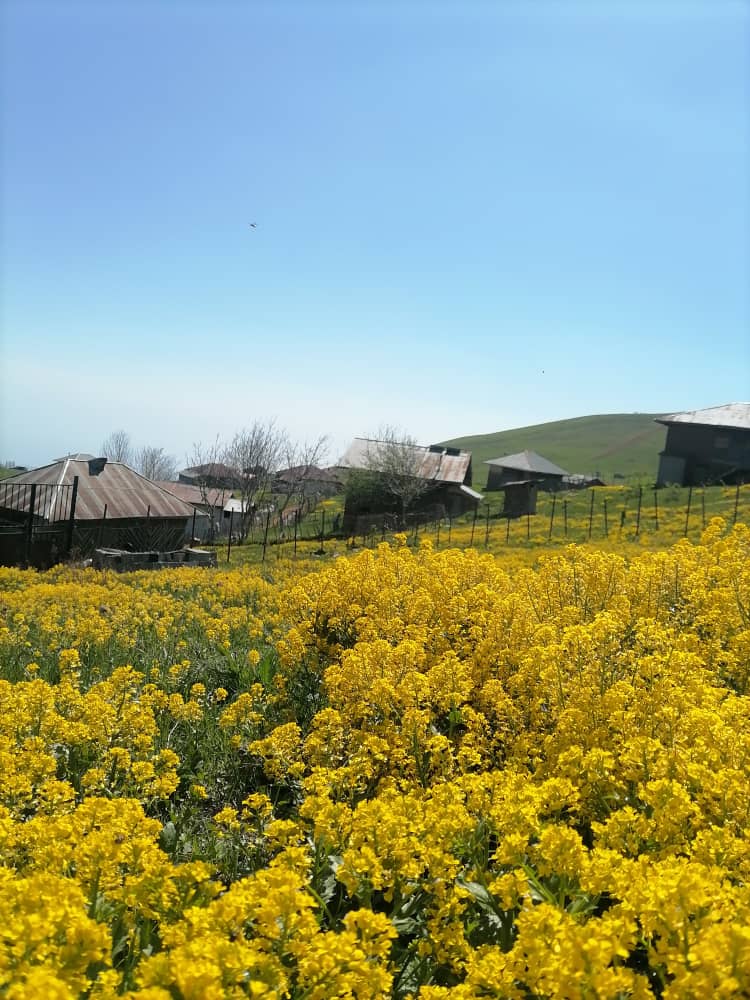 لمرا شهسوار-روستای لیمرا شهسوار