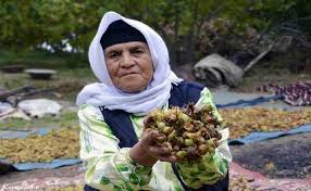 پایتخت فندق ایران