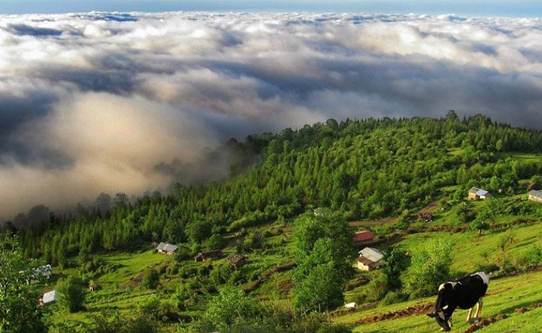 ییلاق آغوزکی رامسر
