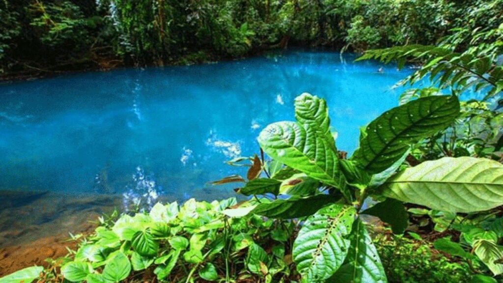 رودخانه فیروزه ای چالوس