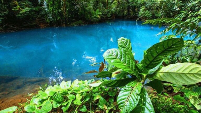 رودخانه فیروزه ای چالوس