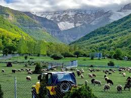 مناطق ییلاقی چالوس-ییلاق زانوس-مازندران