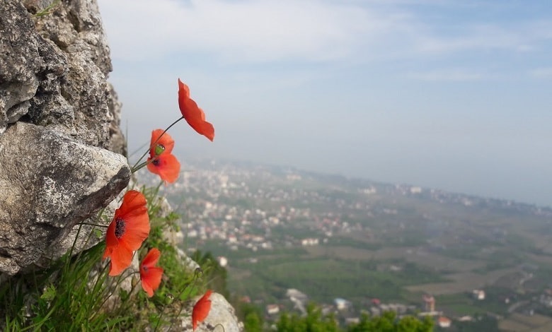 رامسر