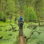 فرهاد اعتمادی