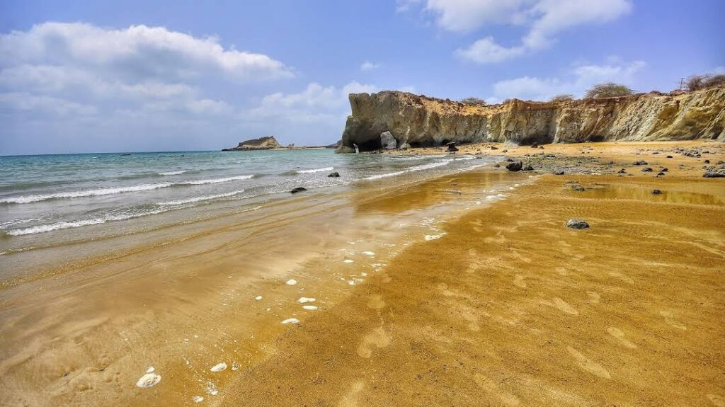 ساحل لاک پشت های هرمز