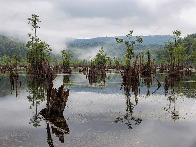 دریاچه ارواح نوشهر تالاب ارواح