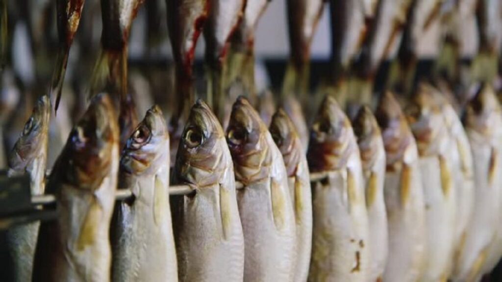 ساحل لاک پشت های هرمز