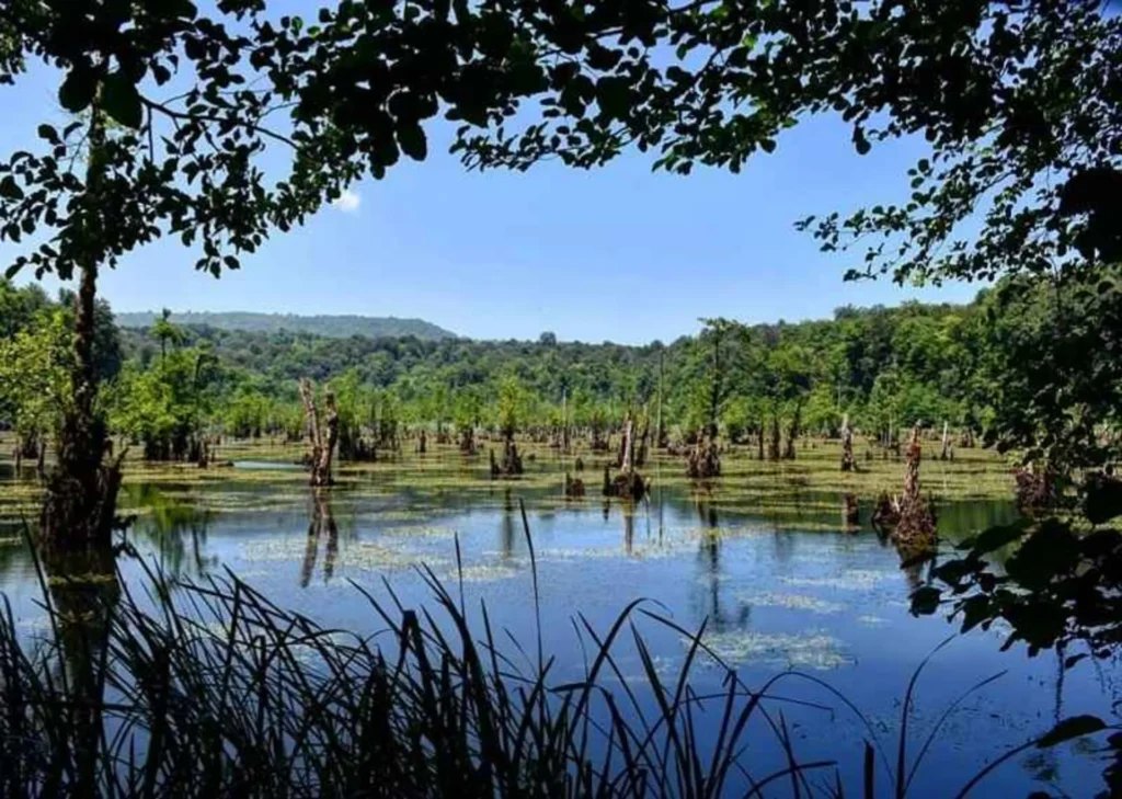 دریاچه ارواح نوشهر زیبا