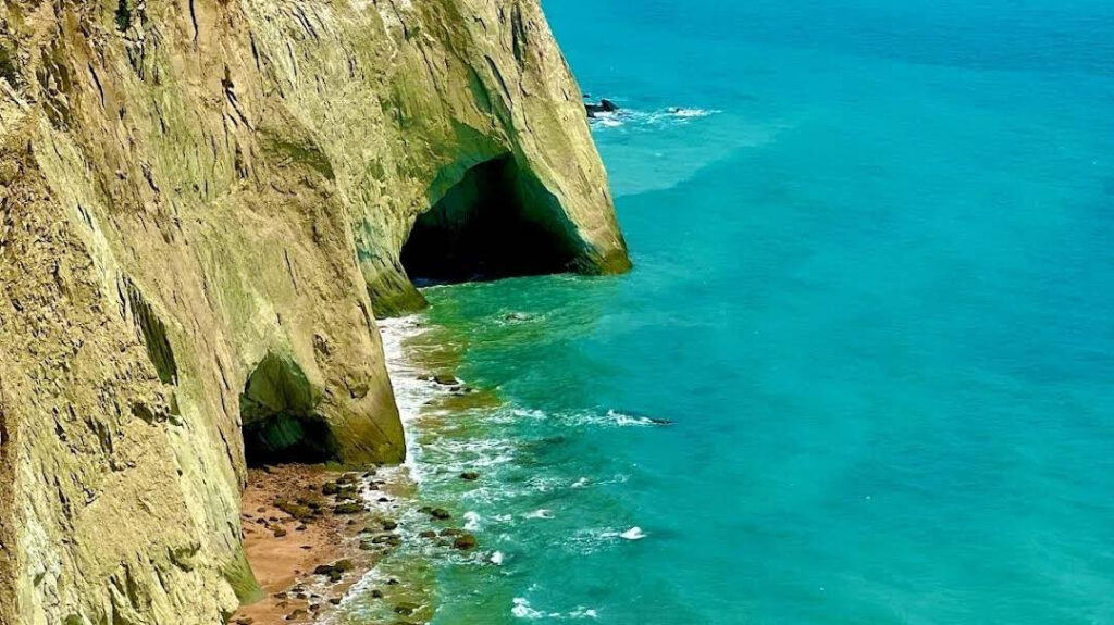 ساحل لاک پشت های هرمز