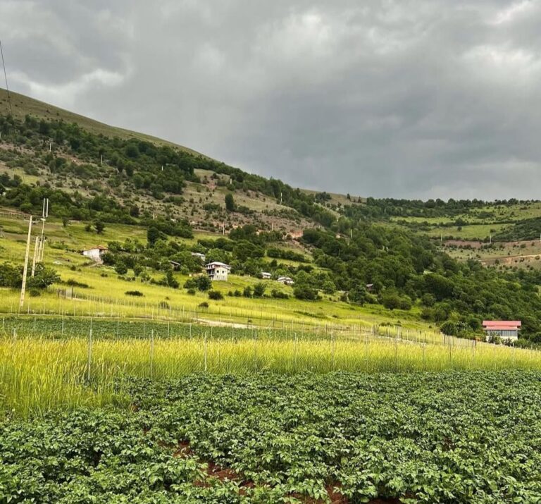 ییلاق آغوزکی رامسر-مازندران-ییلاقات بکر رامسر