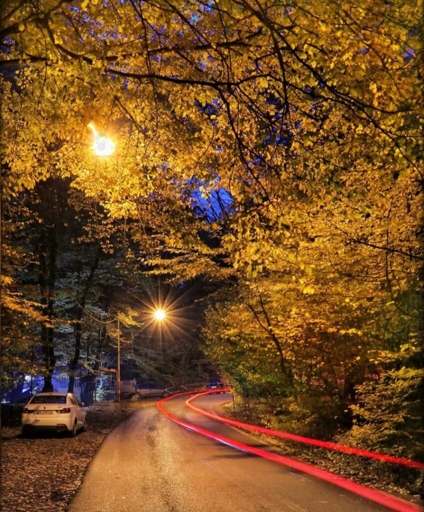 جنگل ناهارخوران گرگان در پاییز