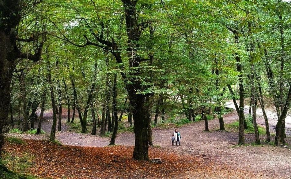 پارک جنگلی کشپل نور