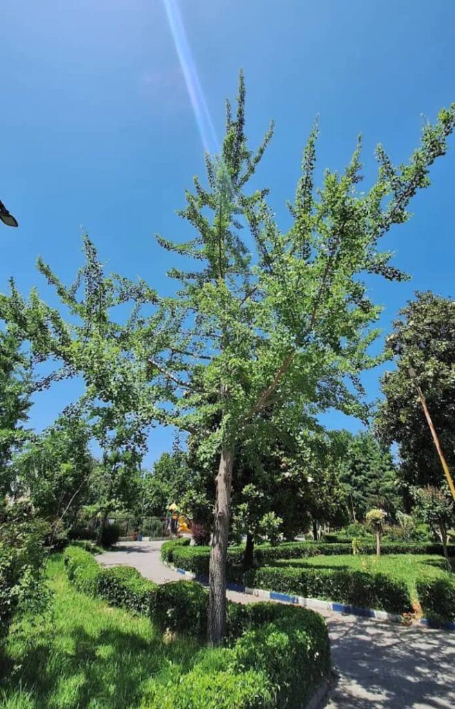 افتتاح باغ گیاه شناسی تنکابن-باغ گیاه شناسی گلپر تنکابن