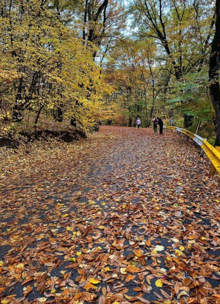 پارک جنگلی کبودوال علی آباد کتول