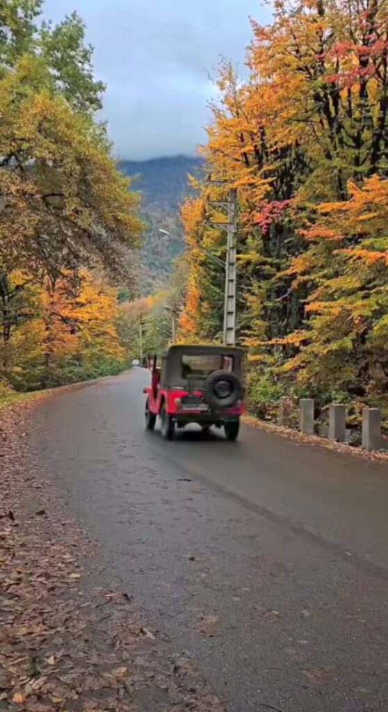 پارک جنگلی کبودوال علی آباد کتول