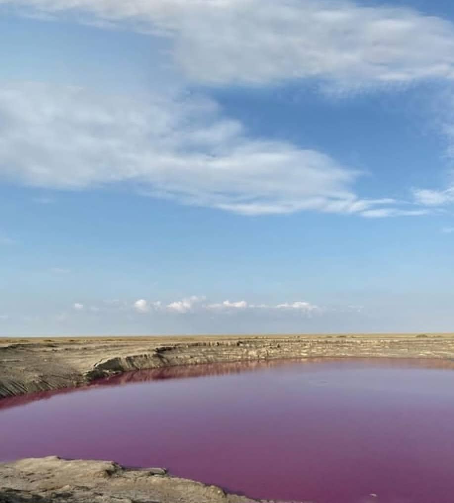 حوضچه صورتی گل فشان نفتلیجه گمیشان