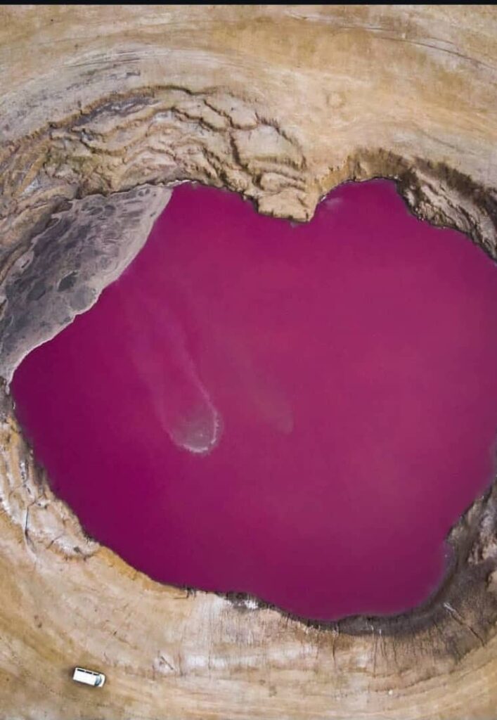 حوضچه صورتی گل فشان نفتلیجه گمیشان