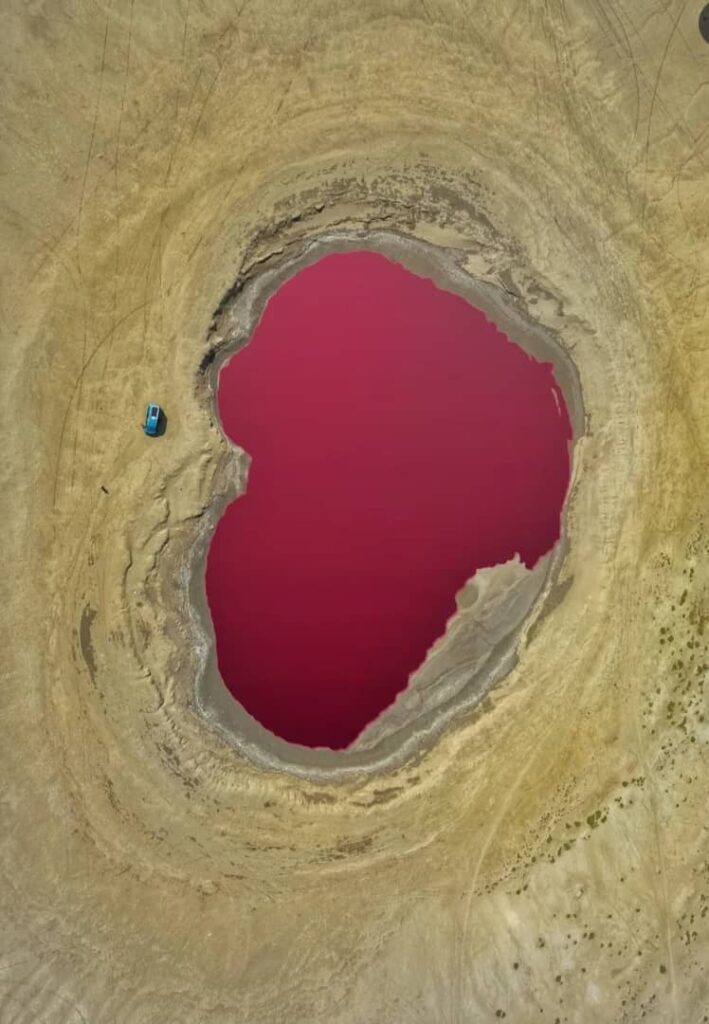 حوضچه صورتی گل فشان نفتلیجه گمیشان