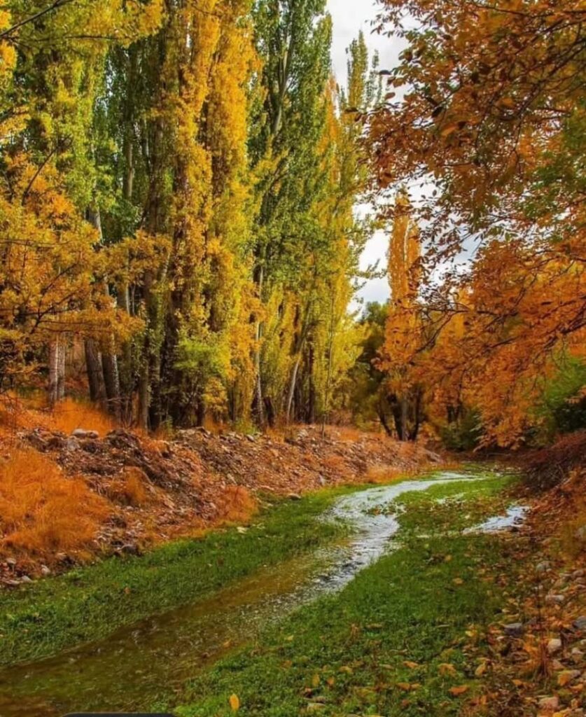 زیباترین شهر ایران در پاییز