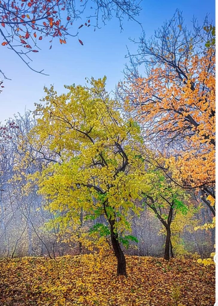 زیباترین شهر ایران در پاییز